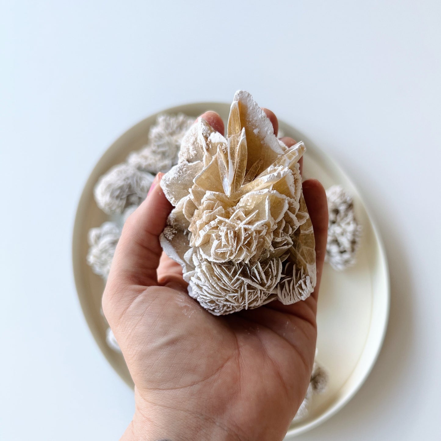 Desert Rose Selenite