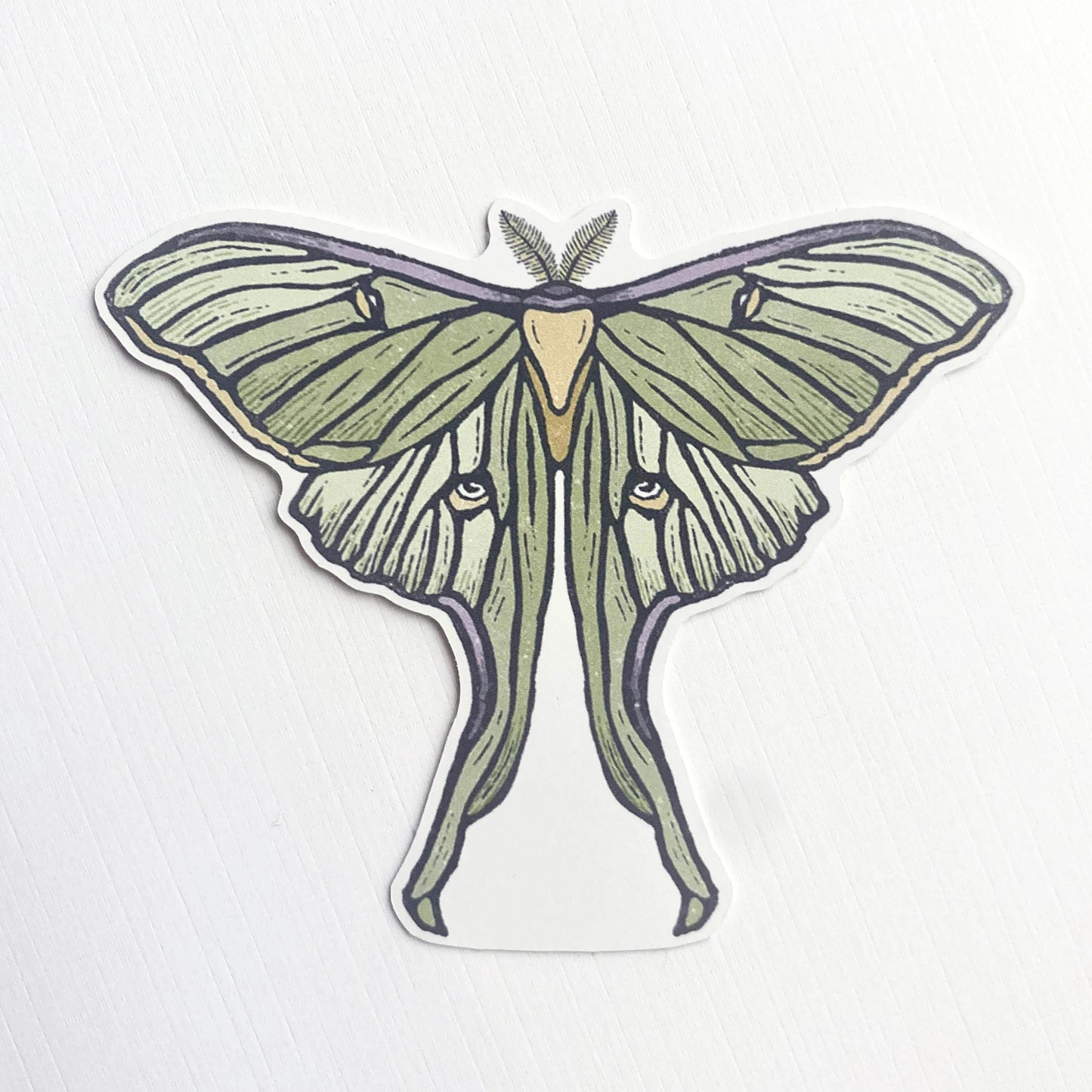 Luna Moth Paper Sticker