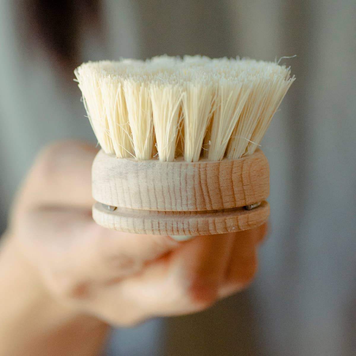 Plastic Free Dish Brush with Replaceable Head - No Tox Life -Freehand Market