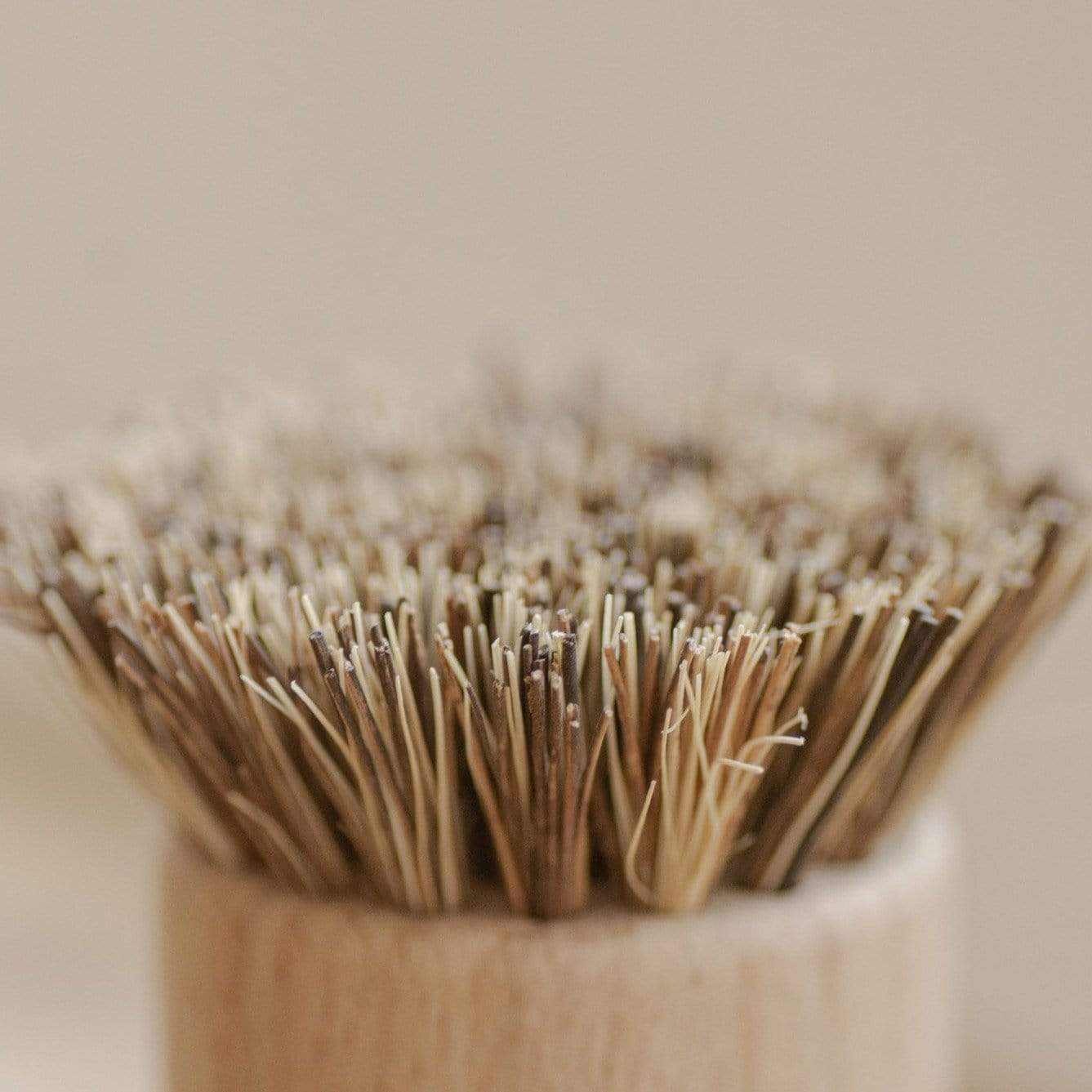 Pot Scrubber/Dish Hand Brush - No Tox Life -Freehand Market