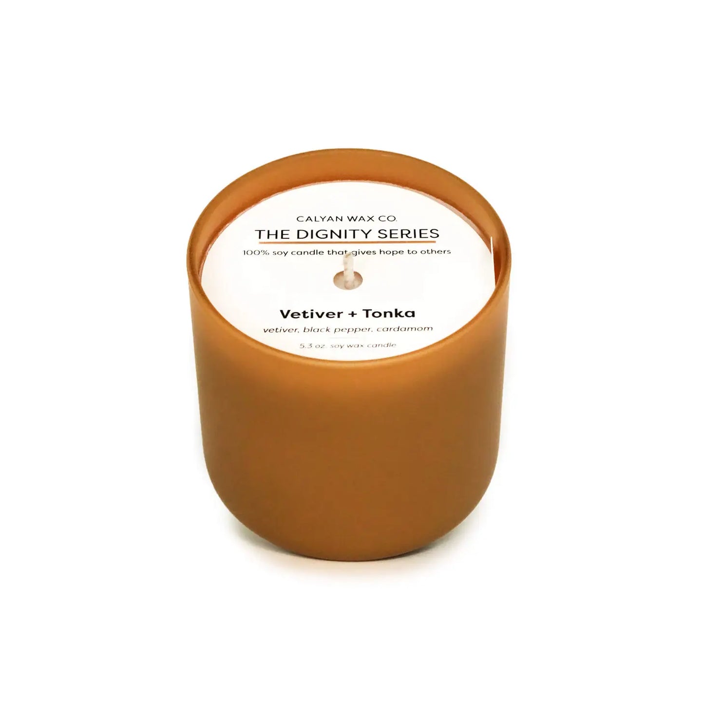 Vetiver + Tonka in Gold Frosted Glass | The Dignity Series Soy Wax Candle