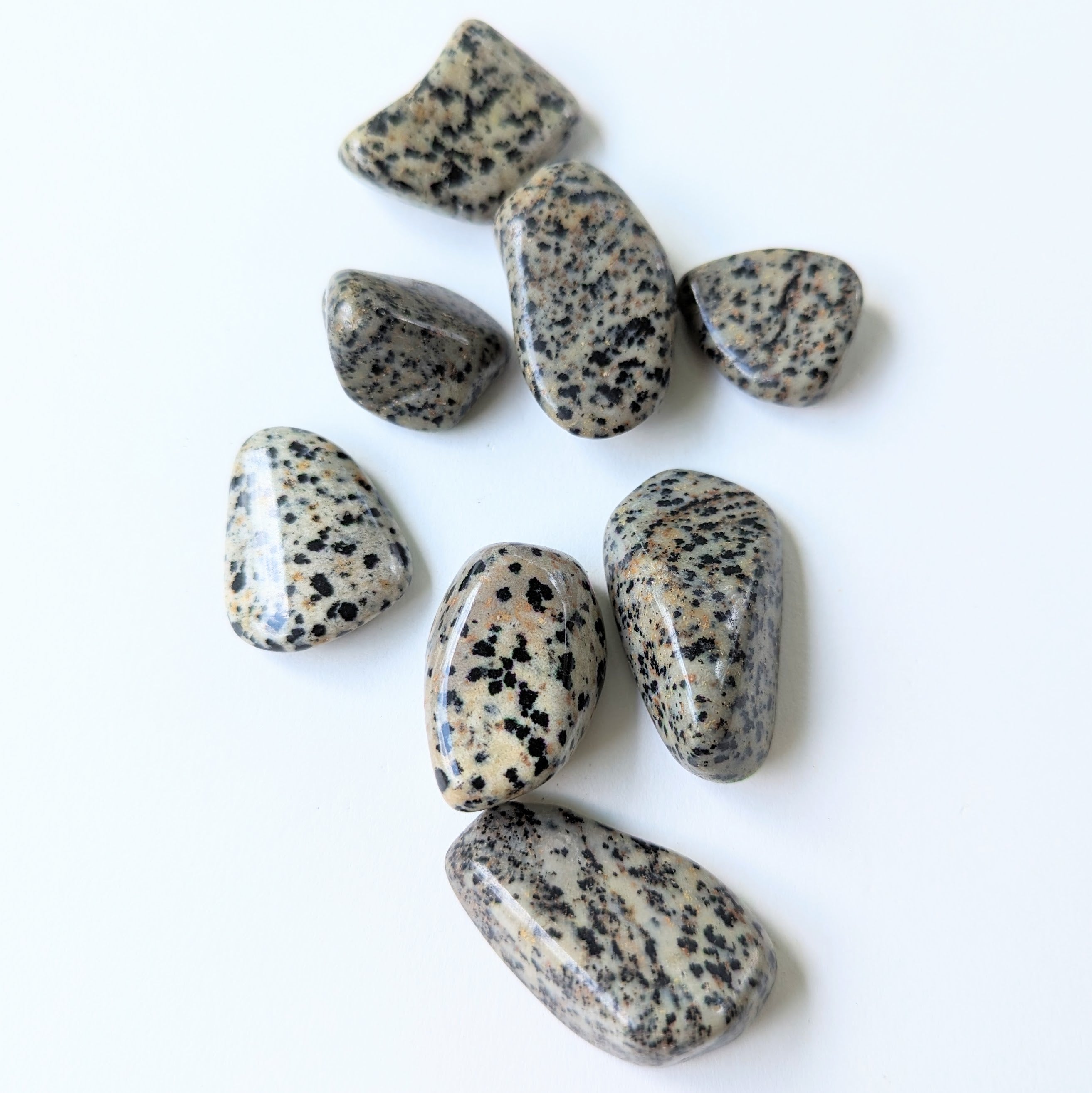 Dalmation Stone Tumble