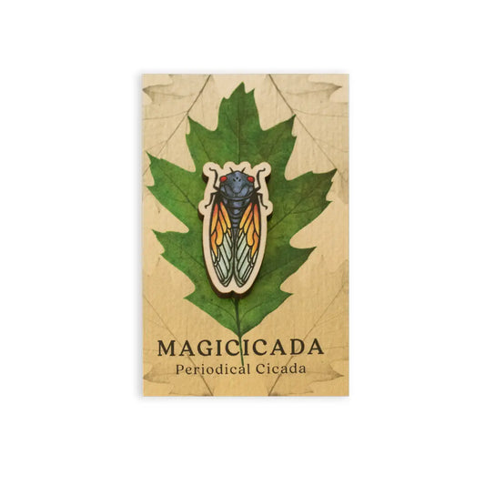 Wooden Pin: Magicicada - Periodical Cicada
