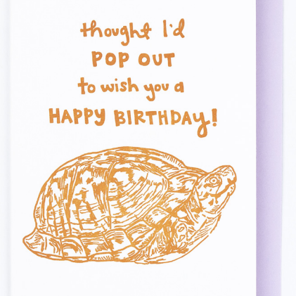 Turtle Birthday Greeting Card