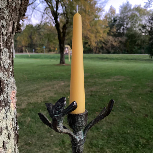 Taper Beeswax Candle: 6 inches