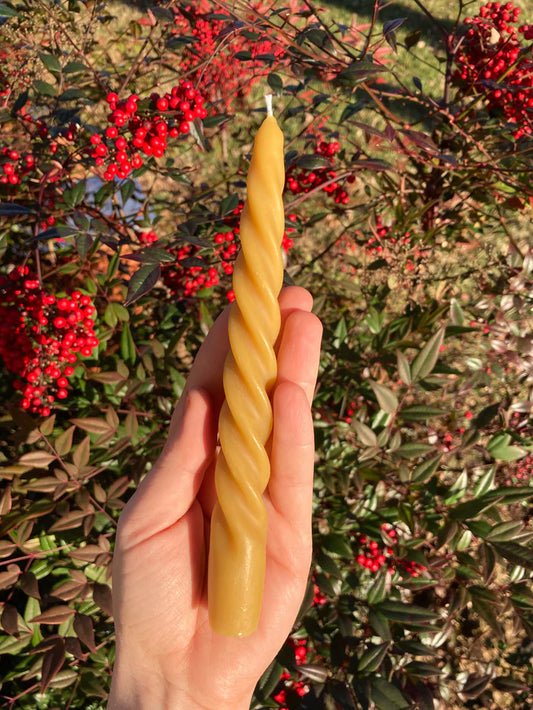 Spiral Taper Beeswax Candle: 7 inches