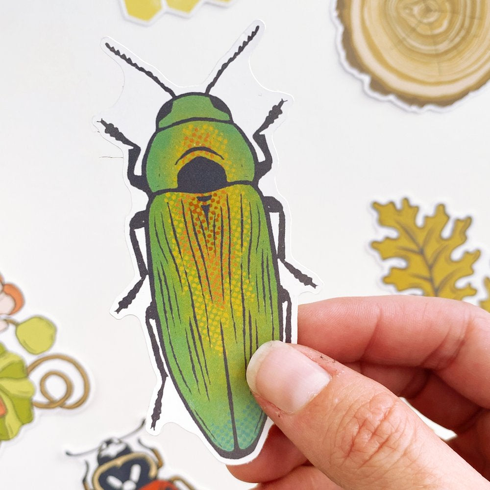 Jewel Beetle Bug Eco-Friendly Paper Sticker