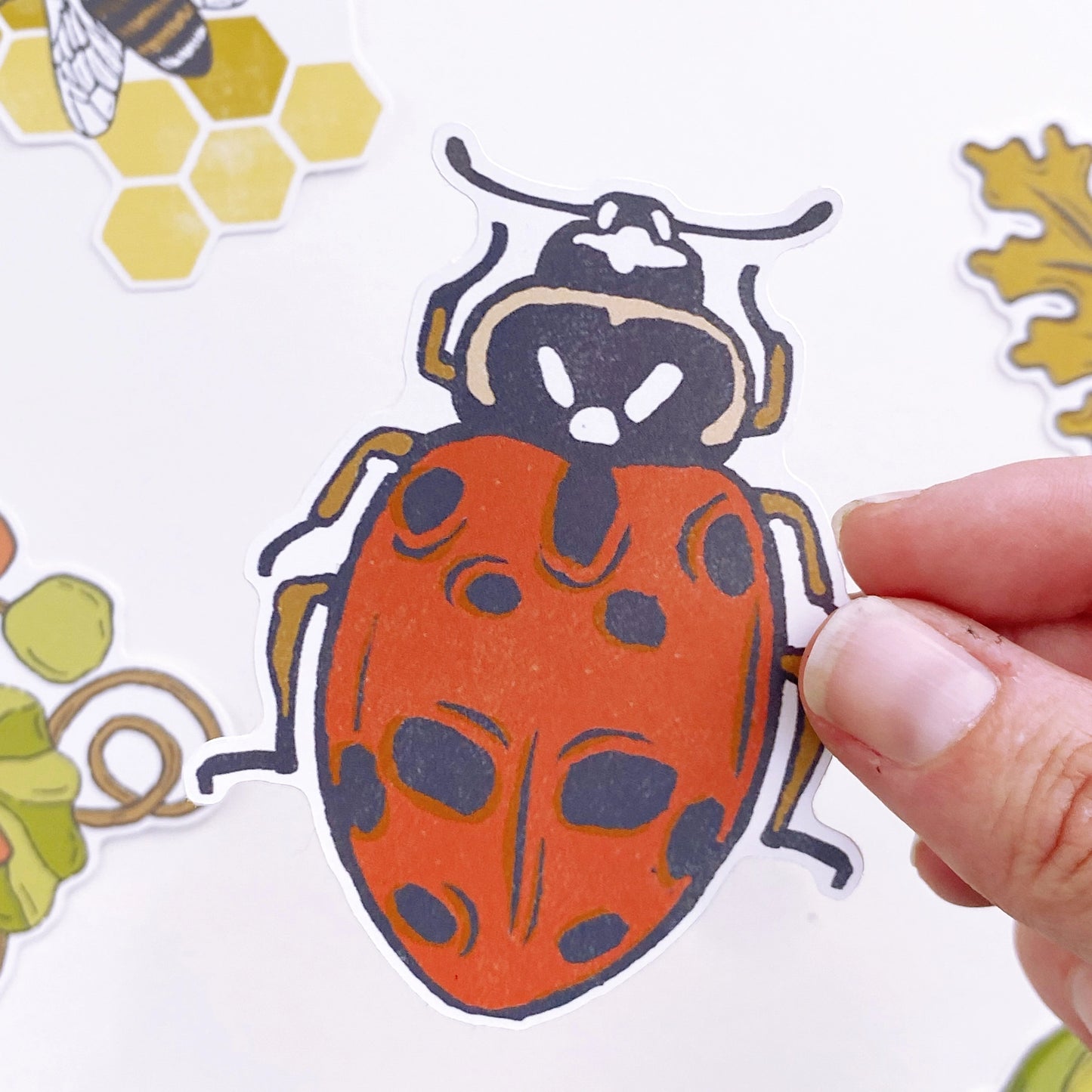 Ladybug Paper Sticker