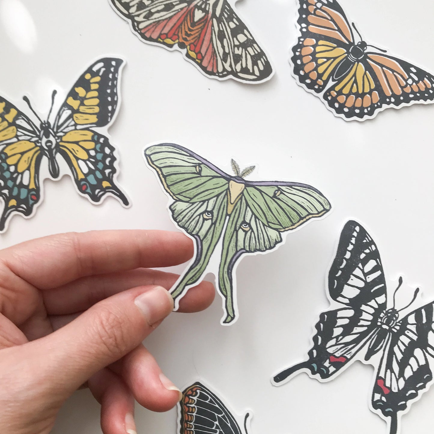 Luna Moth Paper Sticker