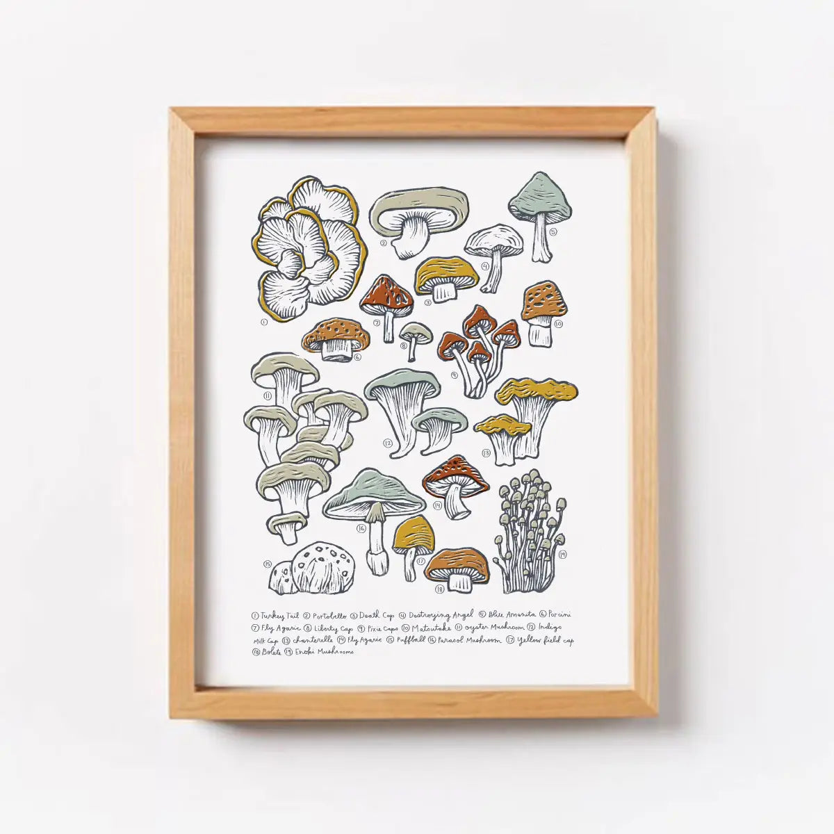 Mushroom & Fungi Wall Art Print - 8x10