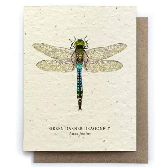 Plantable Seed Paper Greeting Card - Dragonfly - The Bower Studio -Freehand Market