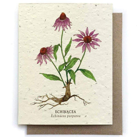 Plantable Seed Paper Greeting Card - Echinacea - The Bower Studio -Freehand Market