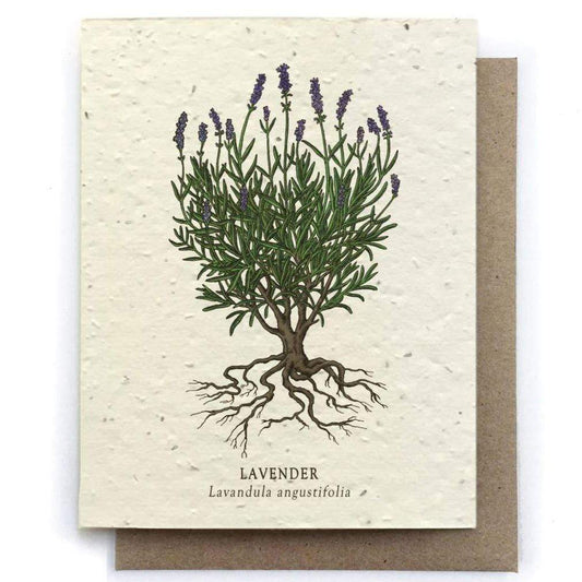 Plantable Seed Paper Greeting Card - Lavender - The Bower Studio -Freehand Market