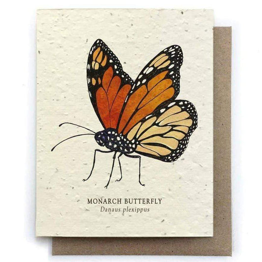 Plantable Seed Paper Greeting Card - Monarch Butterfly - The Bower Studio -Freehand Market