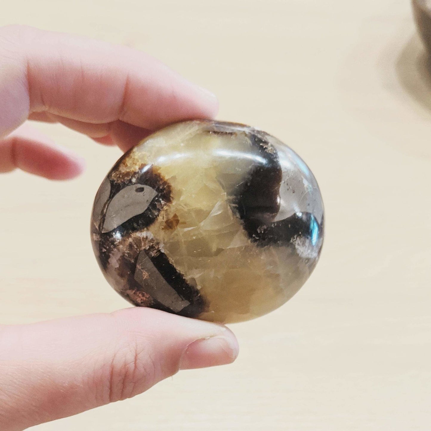 Septarian Pebble - Enter the Earth -Freehand Market
